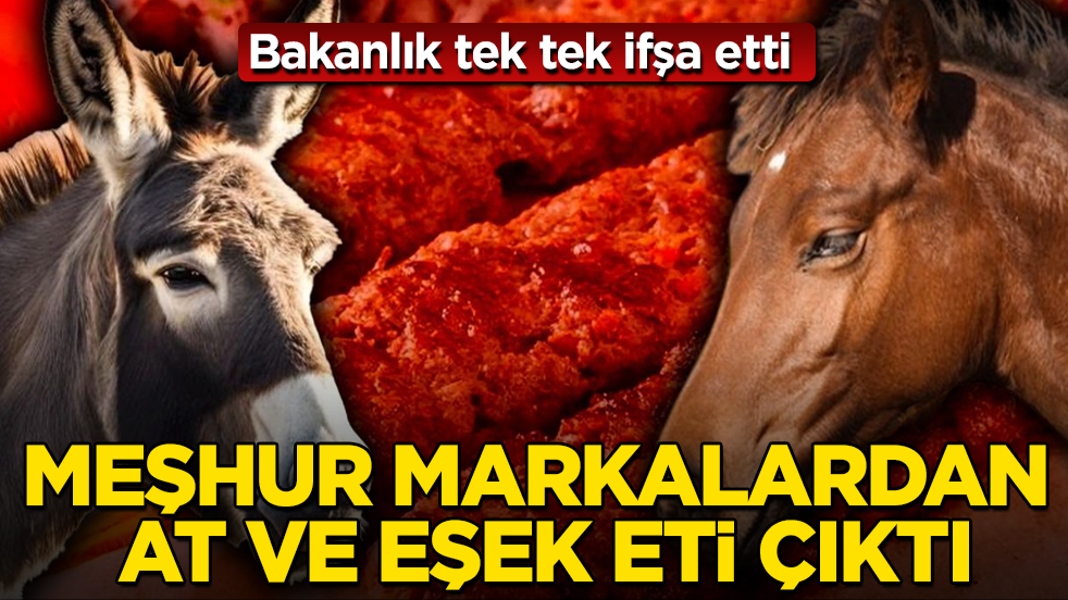 Bakanlık tek tek ifşa etti: Meşhur markalardan at ve eşek eti çıktı