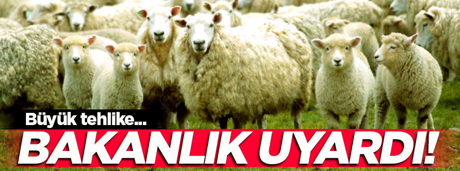 Bakanlık'tan kritik 'kurban' uyarısı!