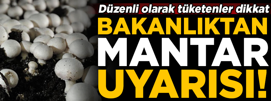 Bakanlıktan 'mantar' uyarısı! Düzenli tüketenler dikkat