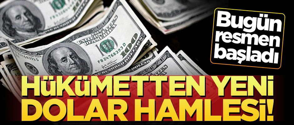 Bakanlıktan yeni dolar hamlesi! Resmi Gazete'de yayımlandı