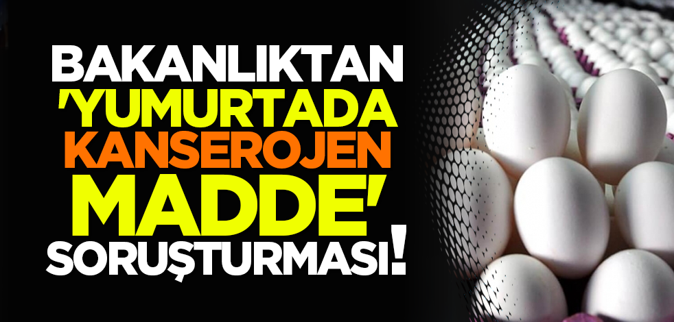Bakanlıktan 'yumurtada kanserojen madde' soruşturması!