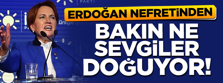 ''Bakın, Erdoğan nefretinden ne sevgiler doğuyor''