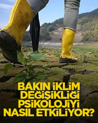 Bakın iklim değişikliği psikolojiyi nasıl etkiliyor?