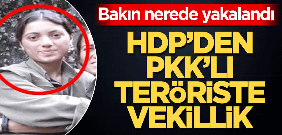 Bakın nerede yakalandı HDP’den PKK'lı teröriste vekillik