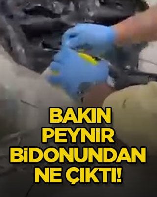 Bakın peynir bidonundan ne çıktı!