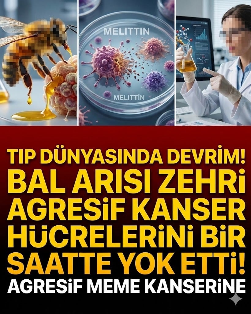 Kanser Hücrelerini 1 Saatte yok ediyor