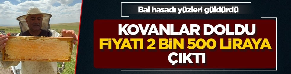 Bal hasadı yüzleri güldürdü! Kovanlar doldu, fiyatı 2 bin 500 liraya çıktı