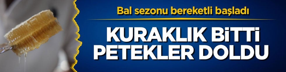 Bal sezonu bereketli başladı! Kuraklık bitti, petekler doldu 