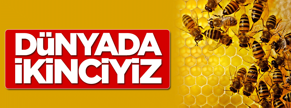 Bal üretiminde dünya ikincisiyiz