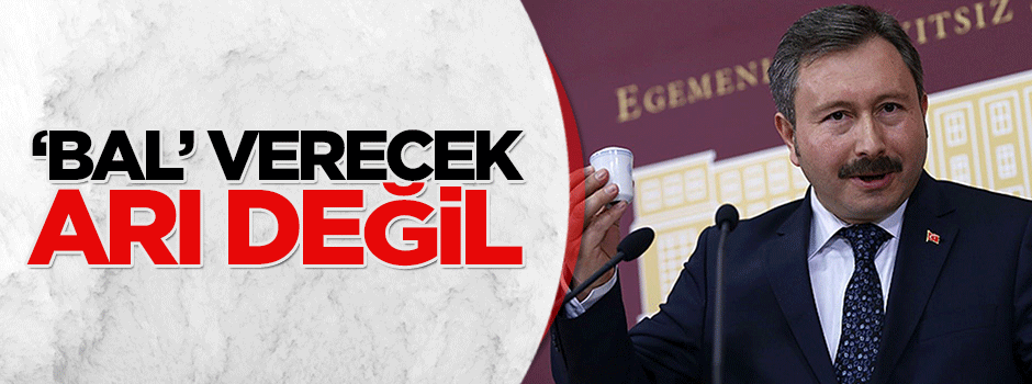 ‘Bal’ verecek arı değil