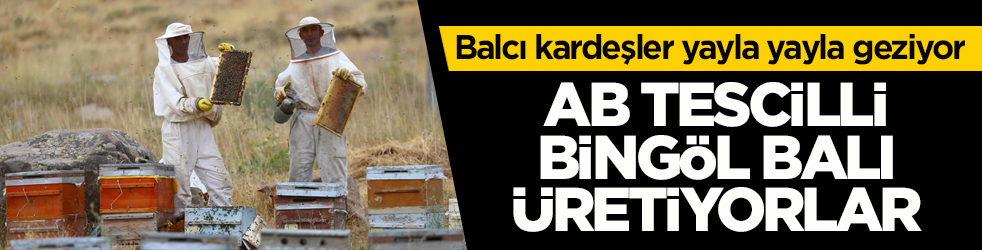 Balcı kardeşler yayla yayla geziyor! AB tescilli Bingöl balı üretiyorlar
