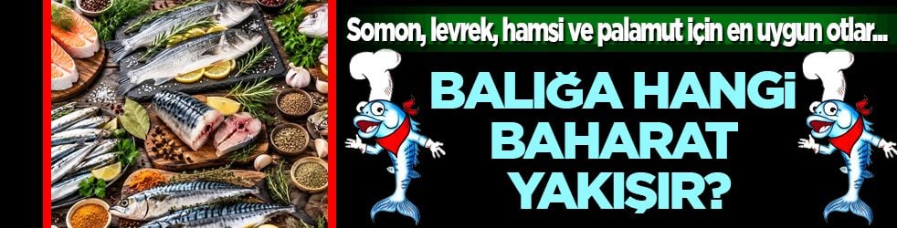 Balığa hangi baharat yakışır? Somon, levrek, hamsi ve palamut için en uygun otlar...