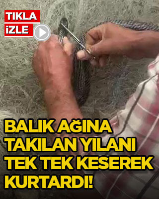 Balık ağına takılan yılanı tek tek keserek kurtardı!