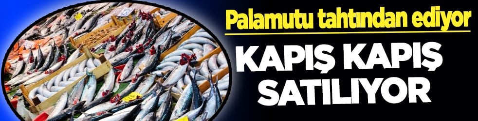 Balık bağışıklık sistemini güçlendirir: Omega-3 açısından zengin, bilen çok az... Kapış kapış satılıyor! 