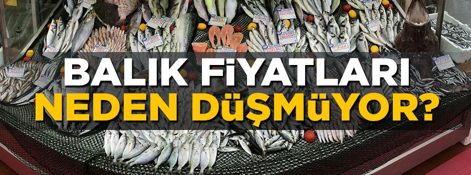 Balık fiyatları neden düşmüyor?