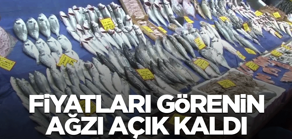 Balık fiyatlarını görenin ağzı açık kaldı!