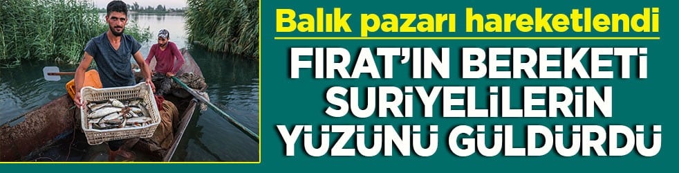 Balık pazarı hareketlendi Fırat’ın bereketi Suriyelilerin yüzünü güldürdü
