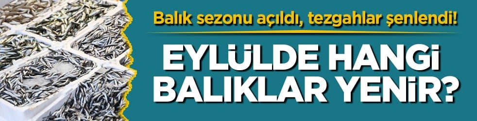 Balık sezonu açıldı, tezgahlar şenlendi! Eylülde hangi balıklar yenir?