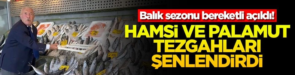 Balık sezonu bereketli açıldı! Hamsi ve palamut tezgahları şenlendirdi