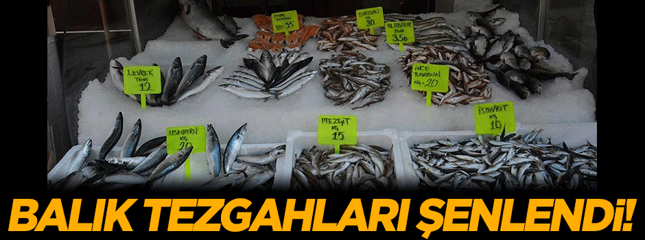 Balık tezgahları şenlendi!