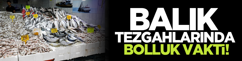 Balık tezgahlarında bolluk vakti!