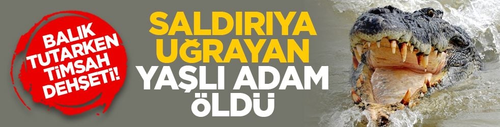 Balık tutarken timsah dehşeti! Saldırıya uğrayan yaşlı adam öldü