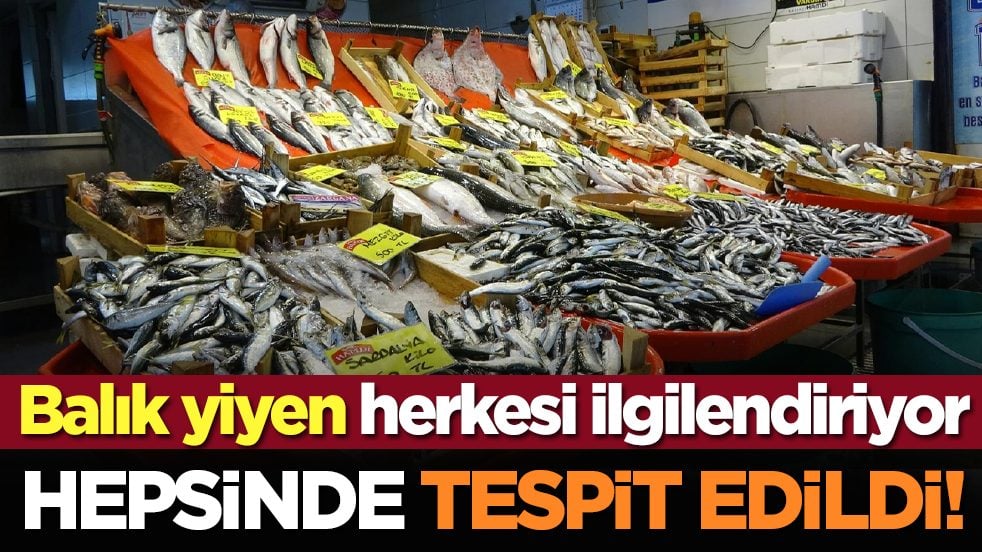 Balık yiyen herkesi ilgilendiriyor: Hepsinde tespit edildi!