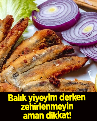 Balık zehirlenmesi nasıl anlaşılır? Balık yiyeyim derken zehirlenmeyin aman dikkat!