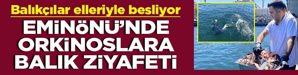 Balıkçılar elleriyle besliyor Eminönü’nde orkinoslara balık ziyafeti