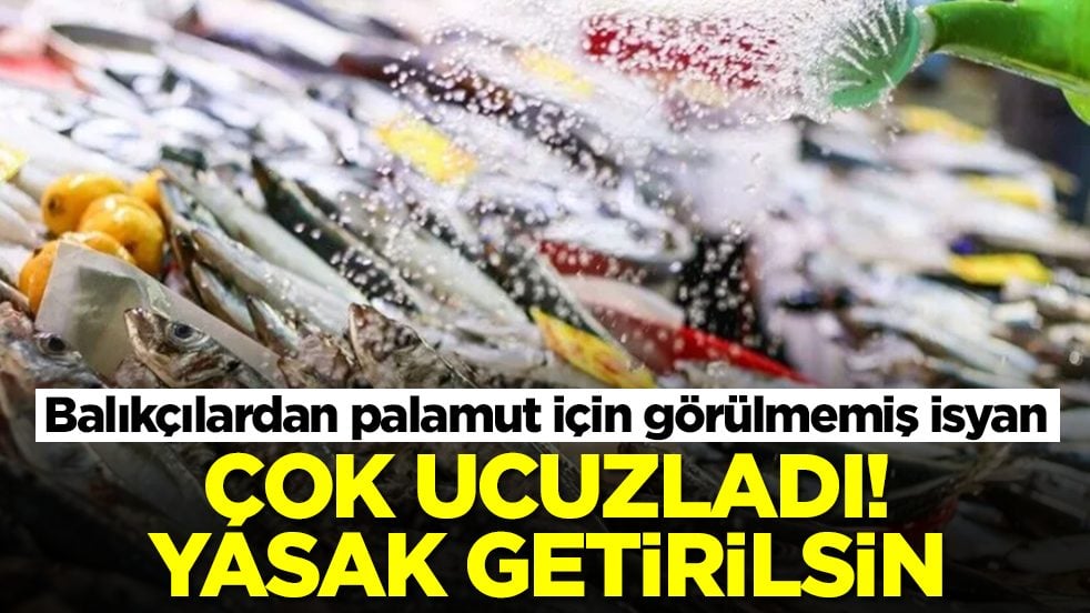 Balıkçılardan palamut için görülmemiş isyan: Çok ucuzladı, yasak getirilsin