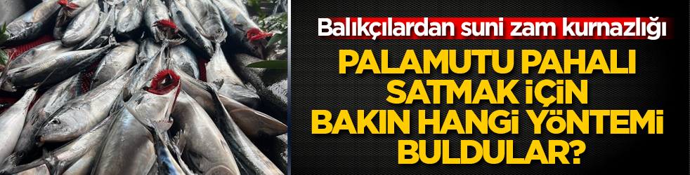 Balıkçılardan suni zam kurnazlığı! Palamutu pahalı satmak için bakın hangi yöntemi buldular?