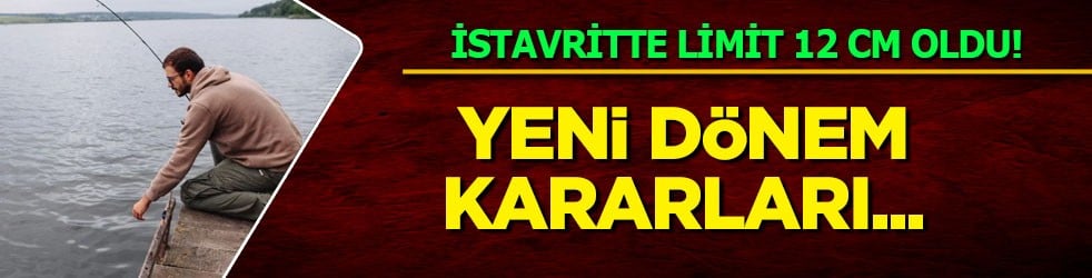Balıkçılık yönetmeliğinde değişiklik: İstavrit 12 cm oldu, hamsiye izin şartı geldi