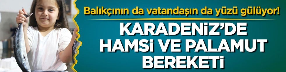 Balıkçının da vatandaşın da yüzü gülüyor! Karadeniz’de hamsi ve palamut bereketi