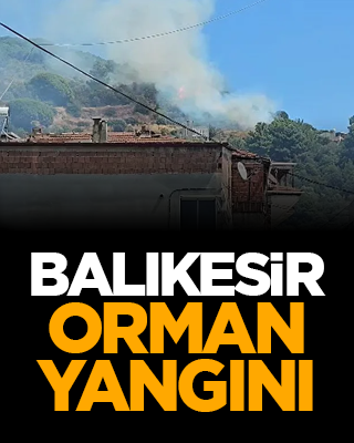 Balıkesir orman yangını