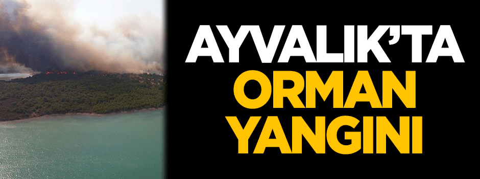 Balıkesir'de orman yangını