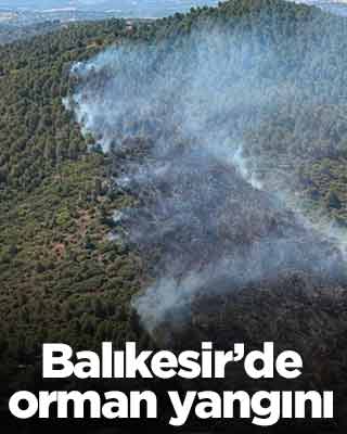Balıkesir'den kötü haber: Orman yangını başladı