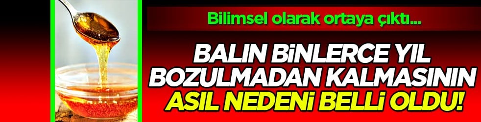 Balın binlerce yıl bozulmadan kalmasının asıl nedeni ortaya çıktı! Bilimsel olarak kanıtlandı...