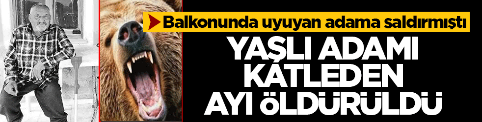 Balkonunda uyuyan adama saldırmıştı: Yaşlı adamı katleden ayı öldürüldü
