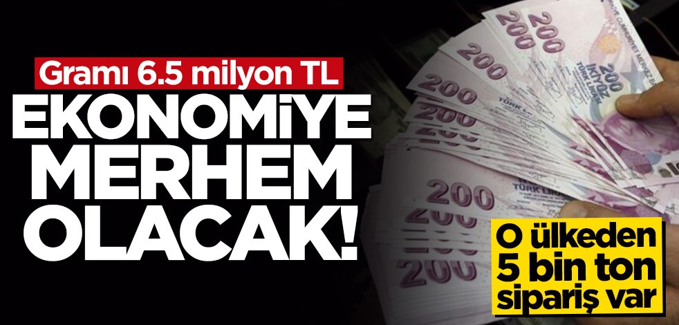 Balon balığı Türkiye ekonomisine merhem olacak
