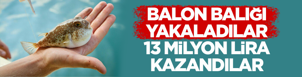 Balon balığı yakaladılar, 13 milyon lira kazandılar