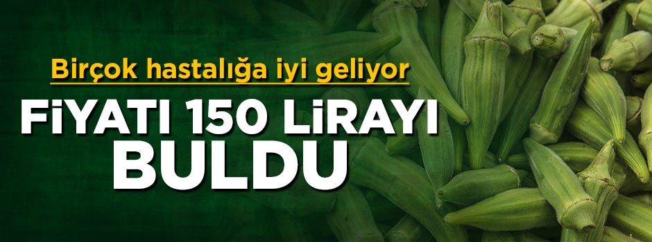 Bamyanın kilosu 150 liraya ulaştı