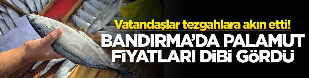 Bandırma’da palamut fiyatları dibi gördü! Vatandaşlar tezgahlara akın etti