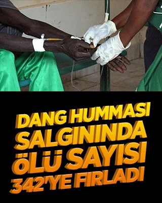 Dang humması salgınında ölü sayısı 342'ye fırladı!