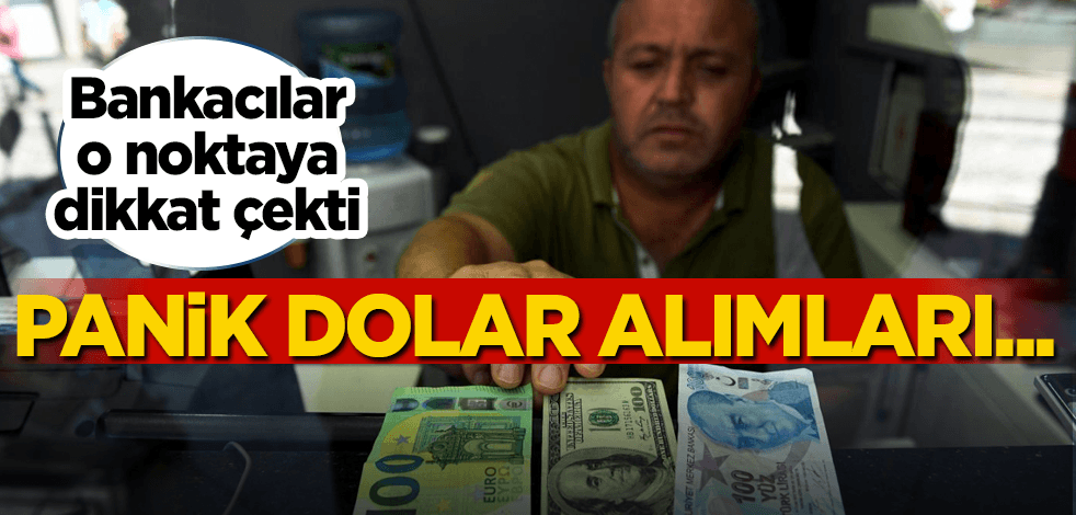 Bankacılardan döviz açıklaması: Panik dolar alımları...