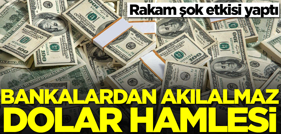 Bankalardan akılalmaz dolar hamlesi! Rakam şok etkisi yaptı