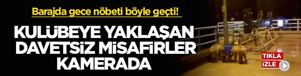Barajda gece nöbeti böyle geçti! Kulübeye yaklaşan davetsiz misafirler kamerada