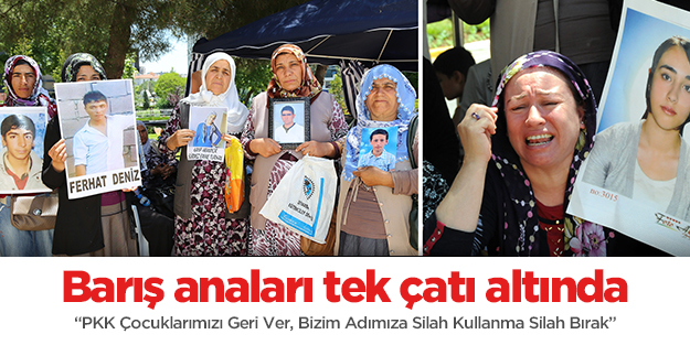 Barış anaları tek çatı altında