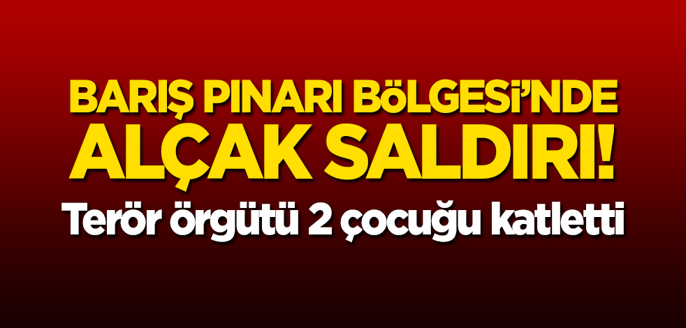 Barış Pınarı bölgesinde terör örgütü PKK/YPG'den alçak saldırı! 2 çocuk katledildi