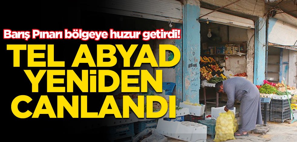 Barış Pınarı bölgeye huzur getirdi! Tel Abyad yeniden canlandı