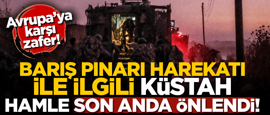 Barış Pınarı Harekatı ile ilgili küstah hamle önlendi! Avrupa'ya karşı diplomatik zafer